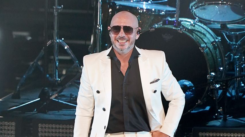 Pitbull, November 2020
