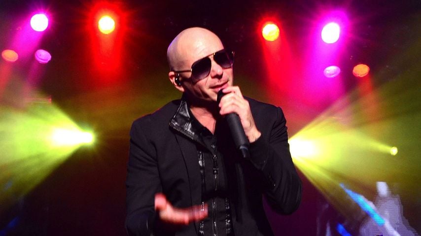 Pitbull plant bizarren Weltrekord bei Festivalauftritt