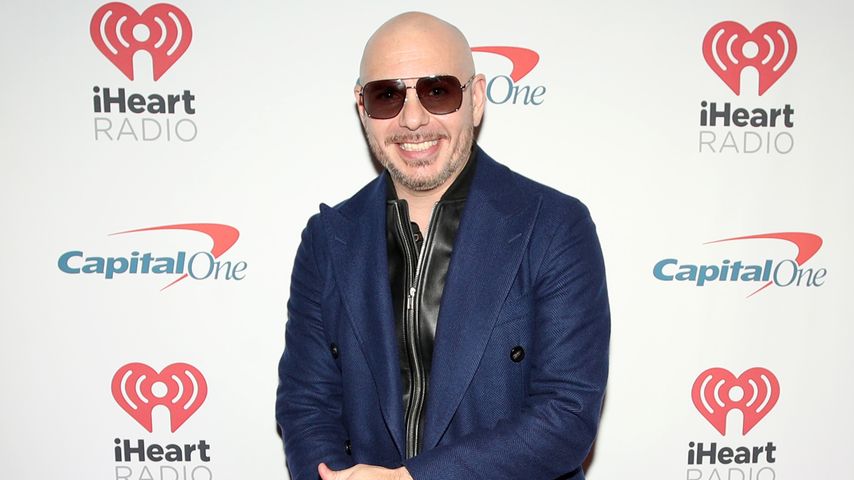 Pitbull, Dezember 2021