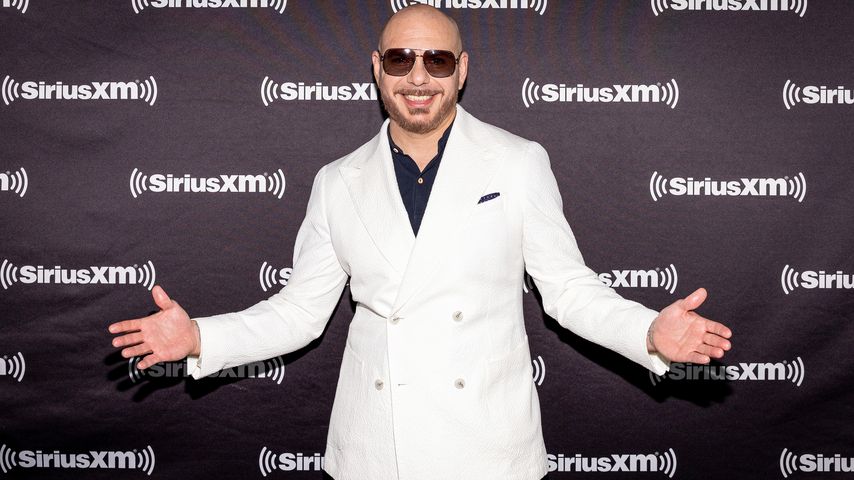 Pitbull, Mai 2023