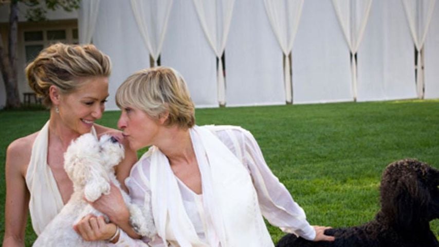 Abschied: Ellen DeGeneres trauert um ihren toten Hund Wolf