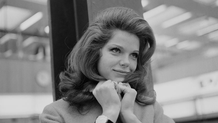 Samantha Eggar, Schauspielerin
