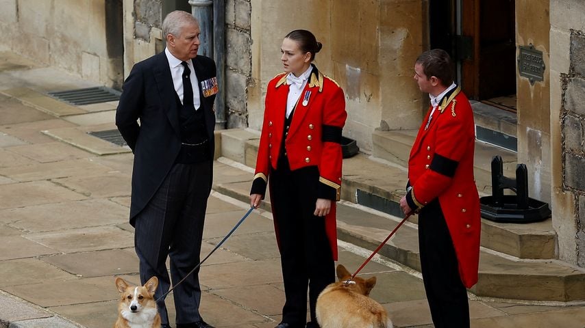 Prinz Andrew mit den royalen Corgis, September 2022