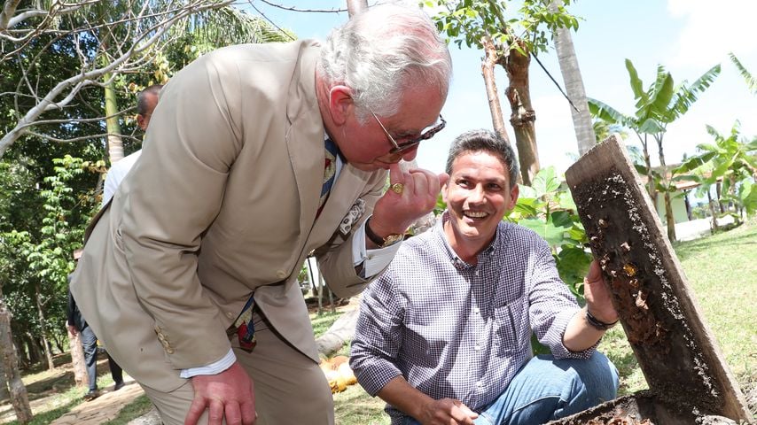 Prince Charles probiert Honig auf der Biofarm Finca Marta in Havanna, 26. März 2019