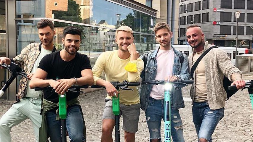"Prince Charming"-Reunion: Von Konkurrenten zu Freunden