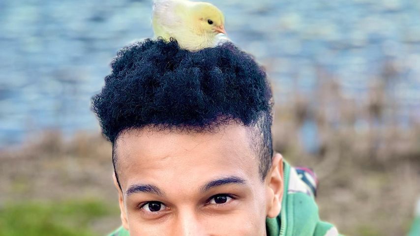 Prince Damien, Dschungelcamp-Sieger 2020