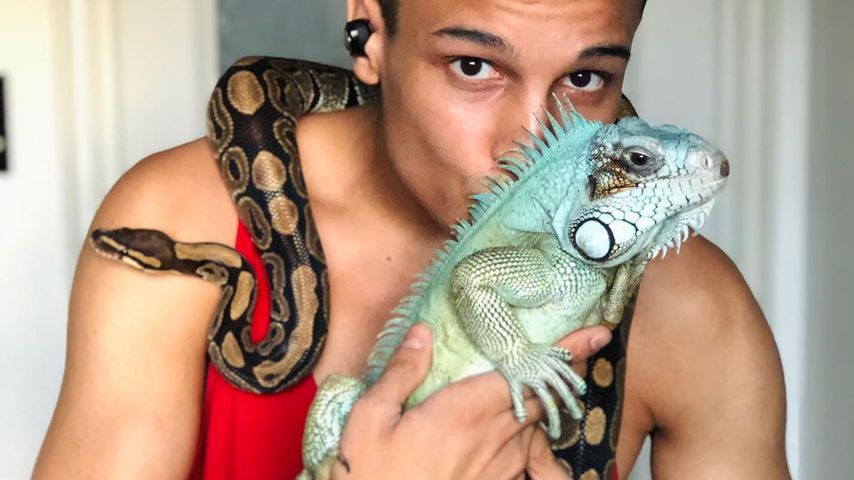 Prince Damien, seine Schlange Monty und sein Leguan Petro