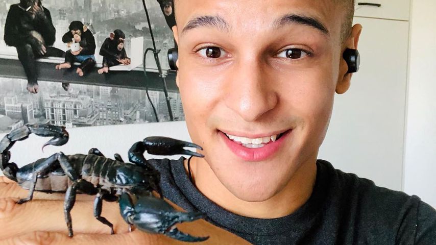 Prince Damien und sein Skorpion Lady