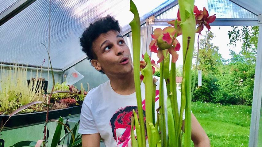 Prince Damien im Mai 2020
