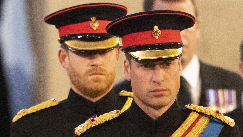 Prinz Harry und Prinz William