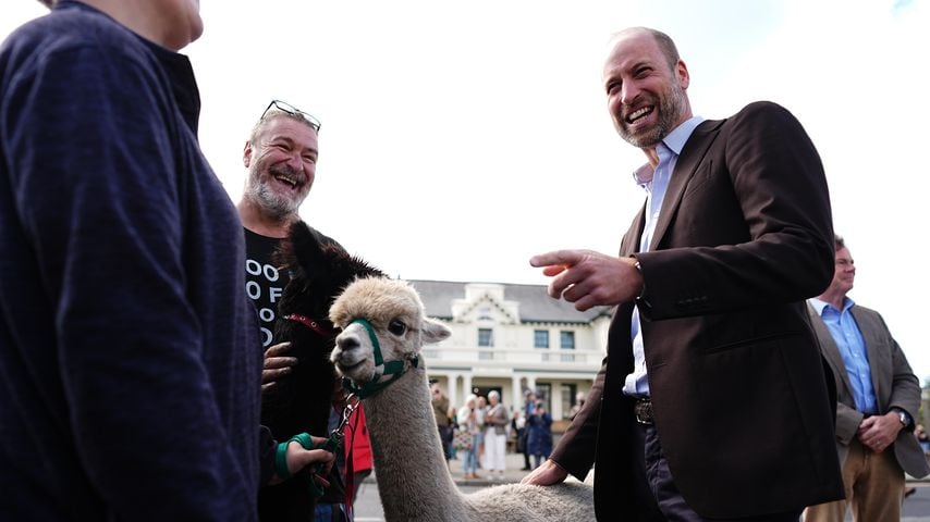 Prince William trifft ein Alpaka in Princetown beim Start des Princetown Community Fund