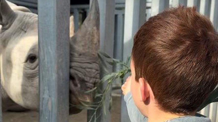 Archie füttert Nashorn: Herzogin Meghan teilt süßen Moment