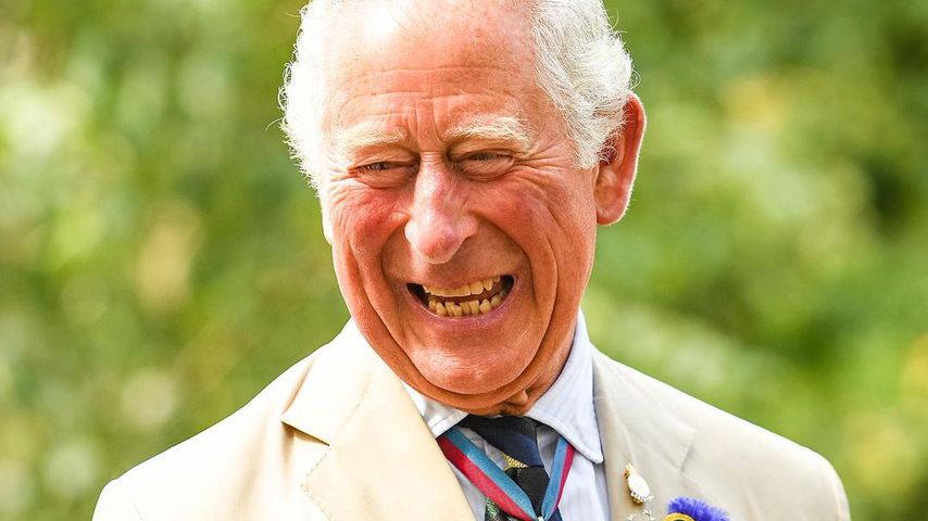 Prinz Charles, der britische Thronfolger