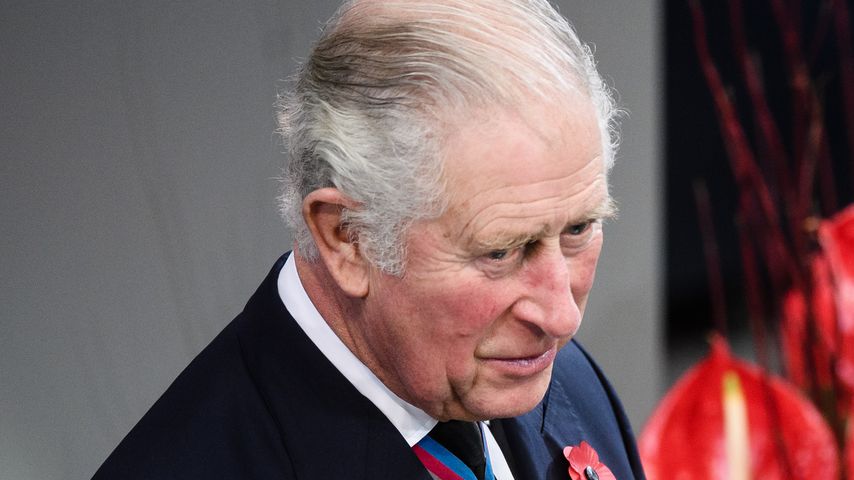 Prinz Charles im Deutschen Bundestag am 15. November 2020