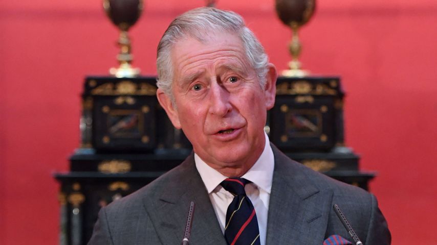 Krass: Hat Prinz Charles tatsächlich auch Camilla betrogen?