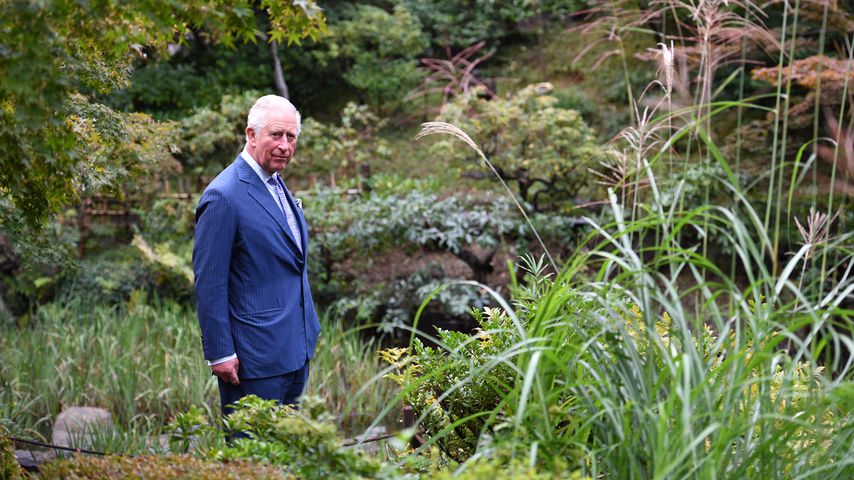 Prinz Charles im Oktober 2019