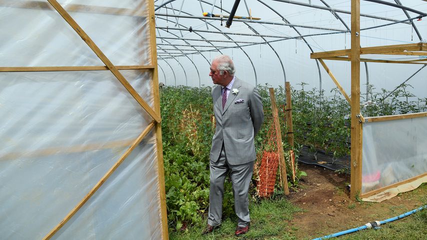 Prinz Charles in Chipping Norton, Juni 2021