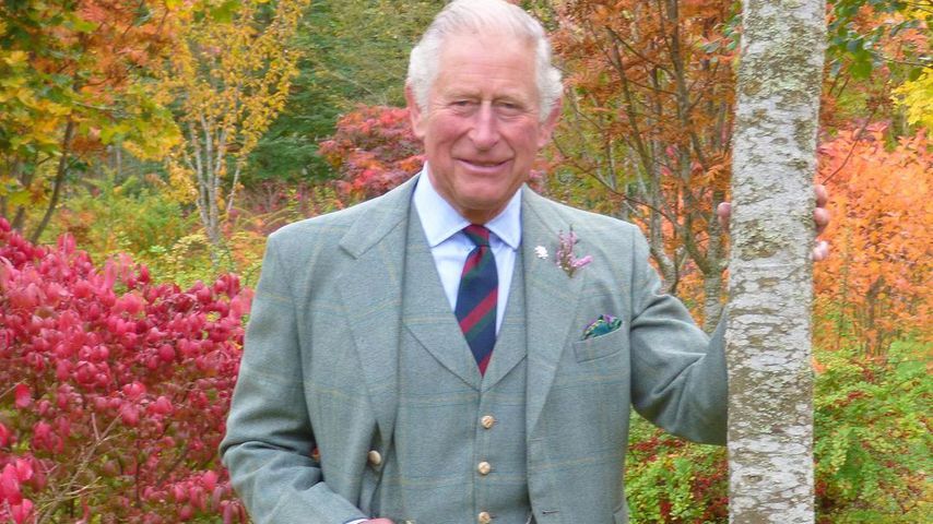 Prinz Charles zu seinem 72. Geburtstag
