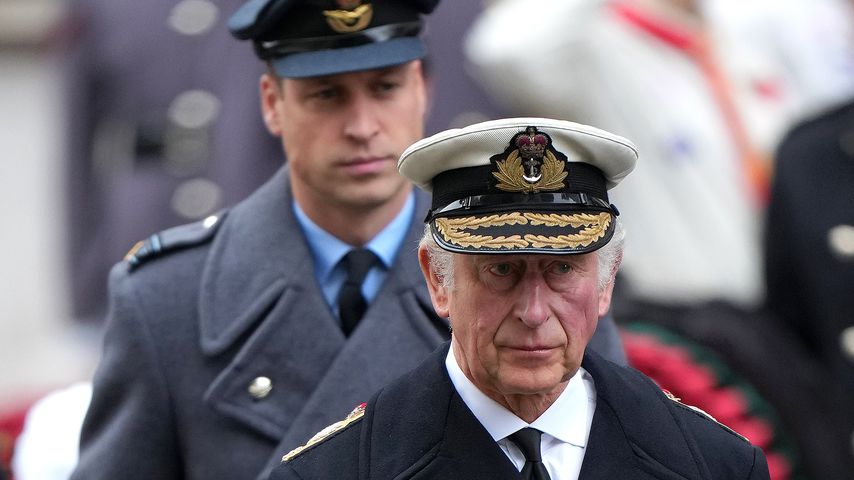 Gewusst? So viel verdienen König Charles, William und Co.