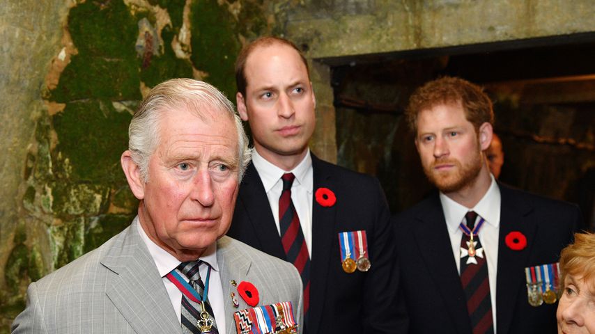 Prinz Harry hat Charles und William Memoiren nicht gezeigt
