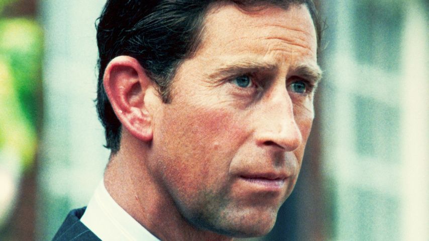 Prinz Charles im Juni 1989
