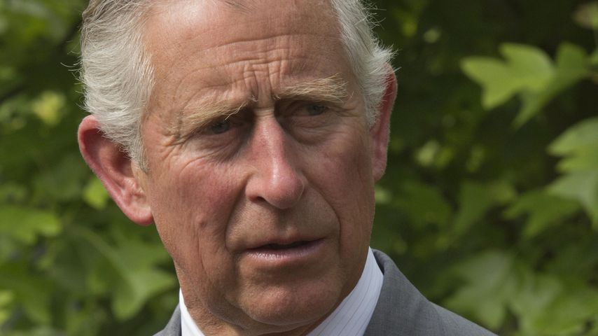 Prinz Charles, Mitglied der britischen Königsfamilie