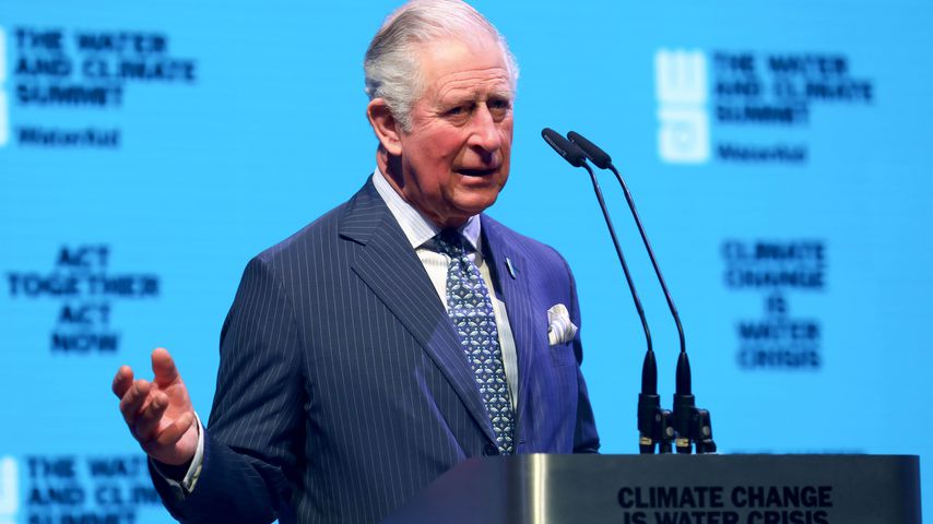 Prinz Charles beim Event in London im März 2020