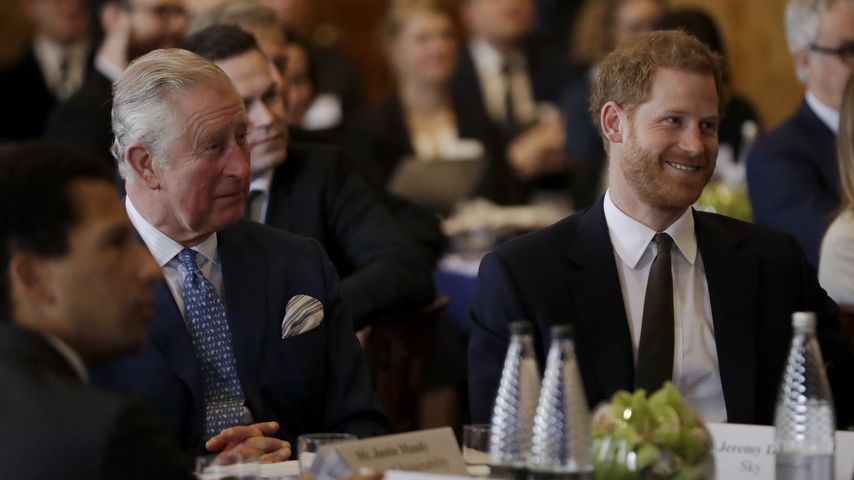 Prinz Charles und Prinz Harry beim "International Year of The Reef"-Treffen im Februar 2018