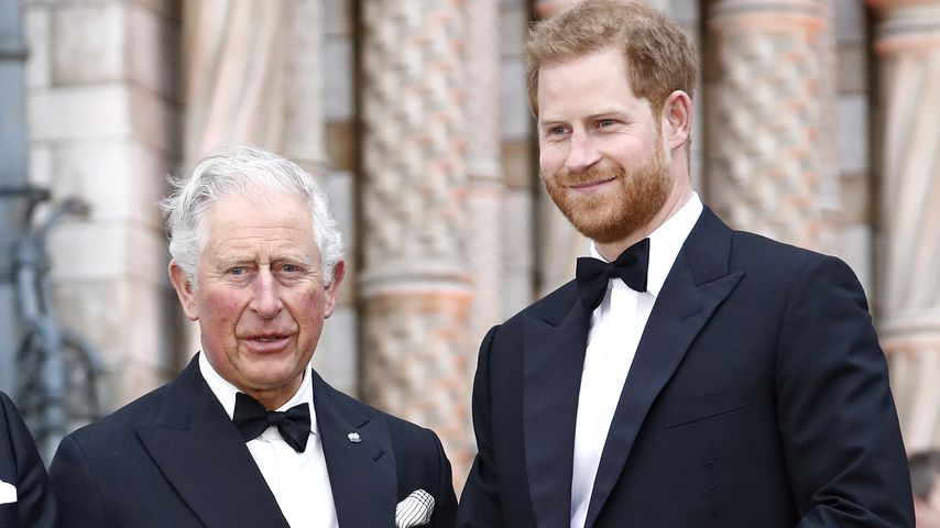 Darum wird König Charles Sohn Prinz Harry nie aufgeben!