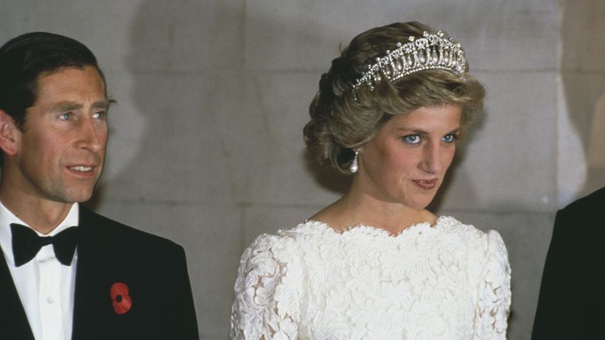 Prinz Charles und Prinzessin Diana im November 1995