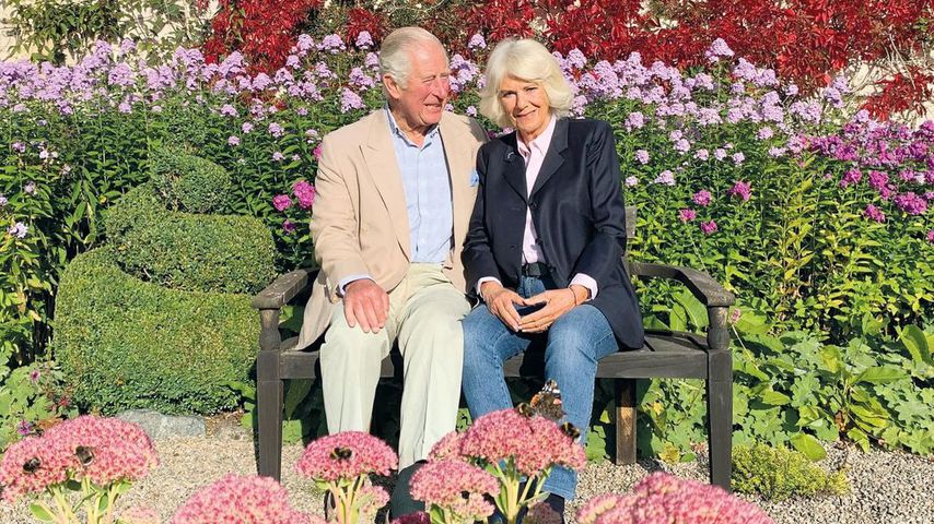 Camilla in Jeans: So süß strahlen Royals auf Weihnachtskarte