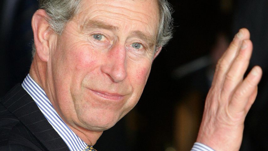 Prinz Charles, Mitglied der britischen Königsfamilie