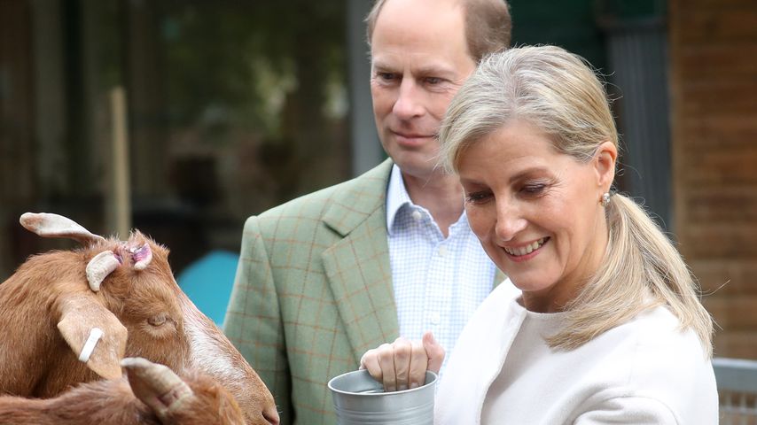 Prinz Edward und Sophie Wessex im Oktober 2020