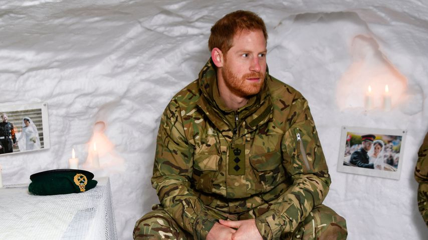 Prinz Harry im Februar 2019