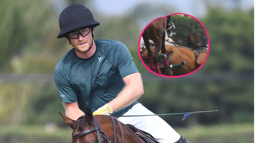 Schreckmoment: Prinz Harry stürzt bei Polo-Match vom Pferd!