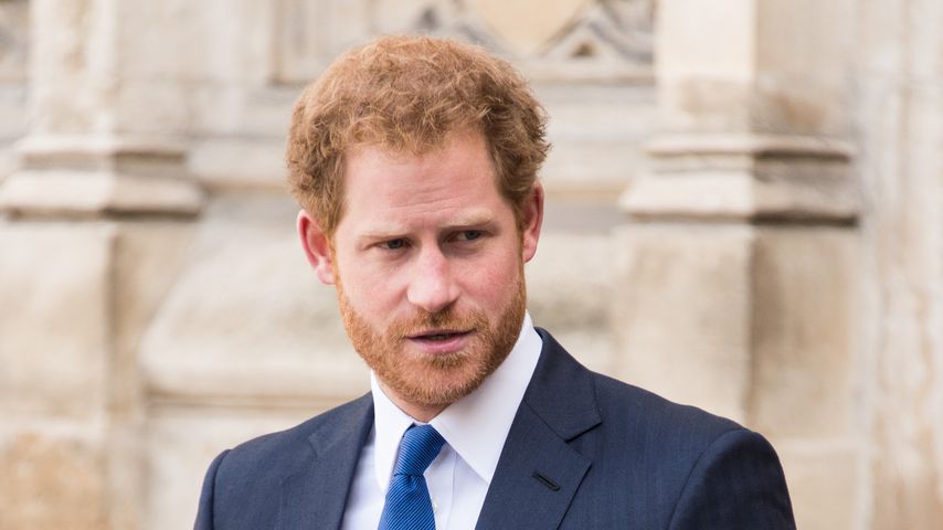 "Reserve": Sind die Behauptungen von Prinz Harry erfunden?