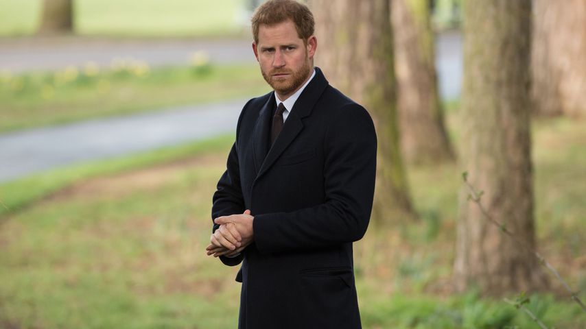 Prinz Harry im Jahr 2019