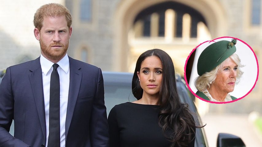 "Gefangen in Monarchie"? Sussexes zoffen sich mit Camilla