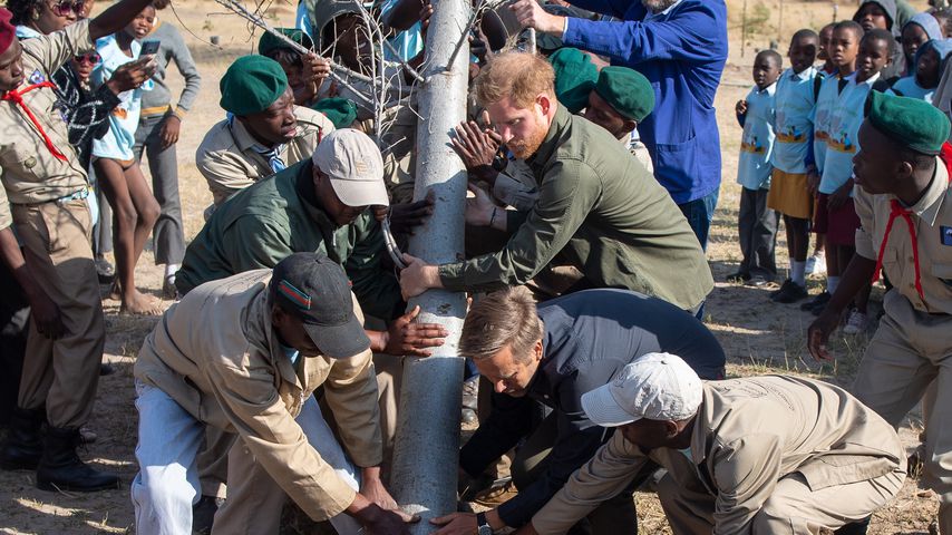 Prinz Harry im Chobe National Park in Botswana
