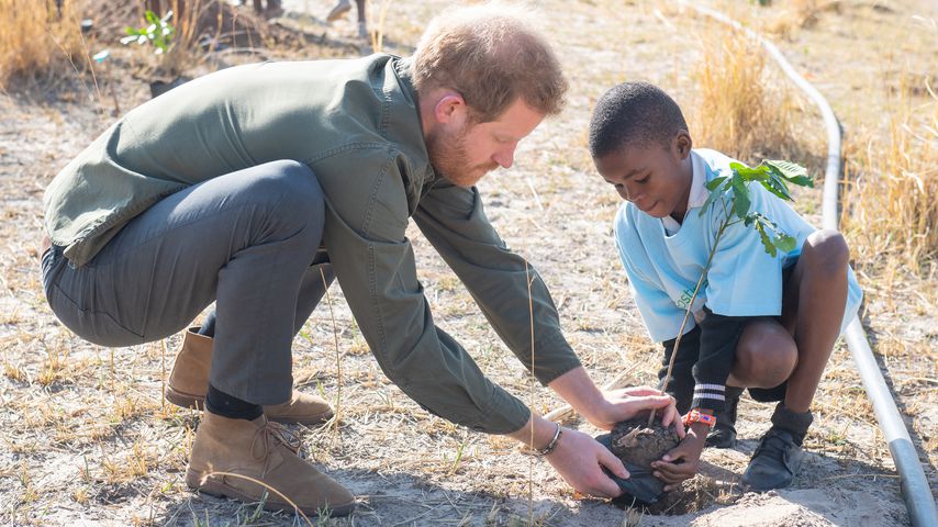 Prinz Harry in Botswana, September 2019
