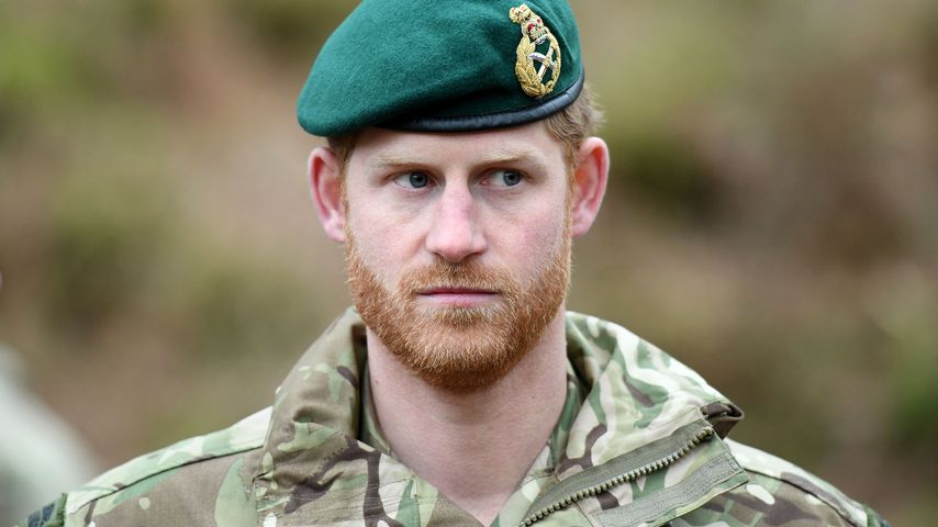 Prinz Harry im Februar 2019
