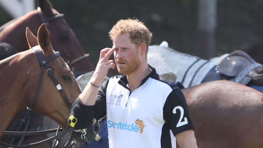 Prinz Harrys neue Serie wird von Profisportlern zerrissen