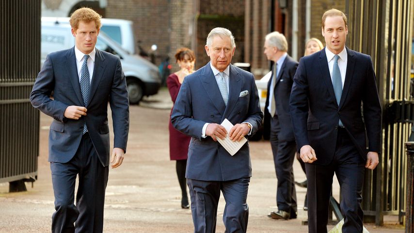 Prinz Harry, Prinz Charles und Prinz William im Februar 2014