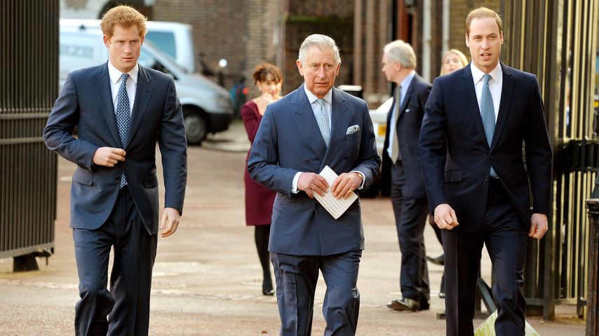 Prinz Harry, König Charles und Prinz William