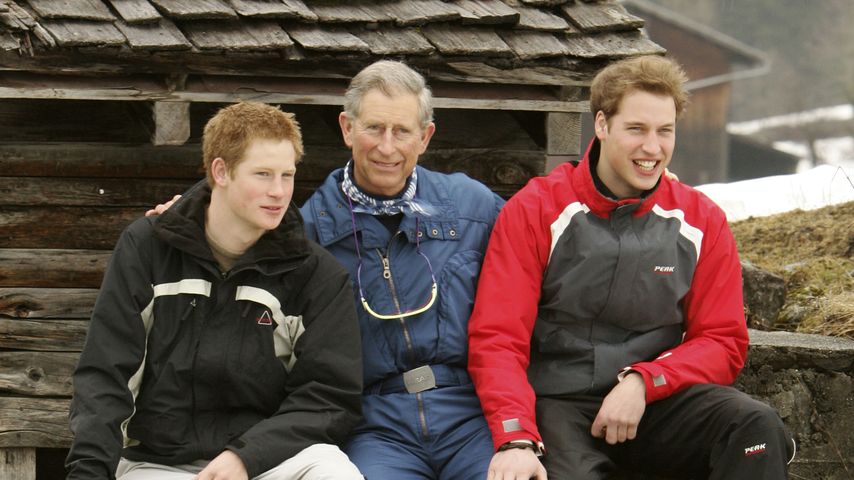 Prinz Harry, König Charles und Prinz William, 2005