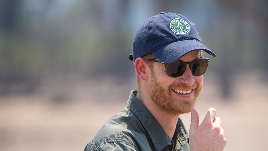 Prinz Harry im September 2019