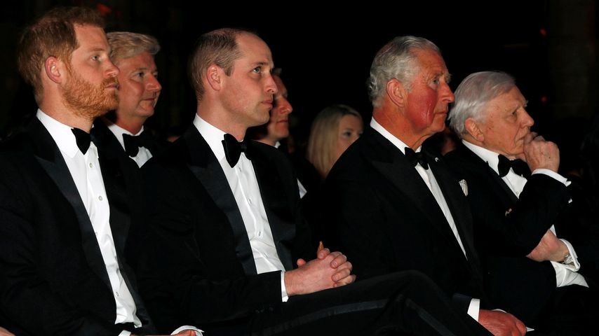 Prinz Harry, Prinz William und König Charles im Jahr 2019