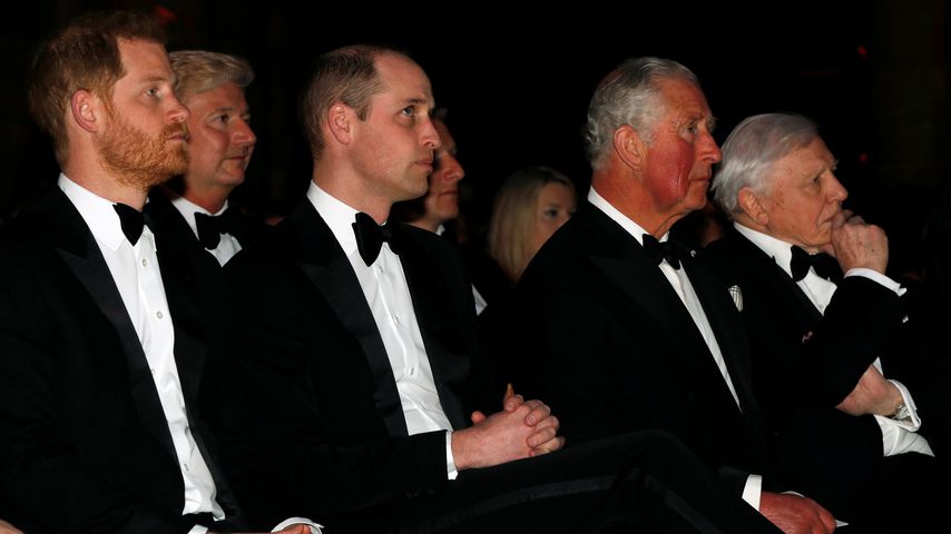 Prinz Harry, Prinz William und Prinz Charles im April 2019