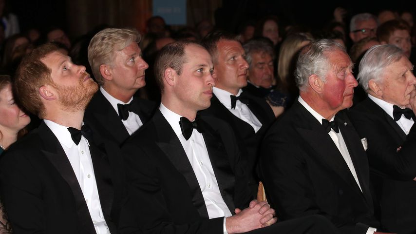 Prinz Harry, Prinz William und Prinz Charles in London, 2019