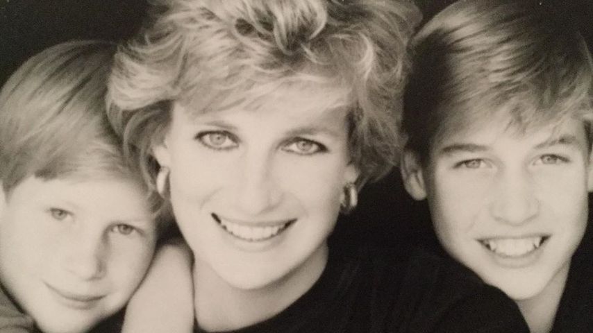 Prinz Harry, Prinzessin Diana und Prinz William